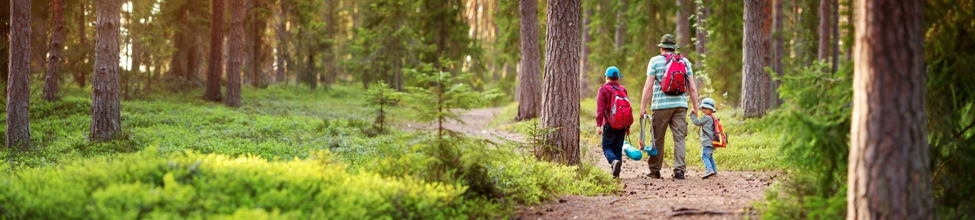 father walking with children going camping in a forest